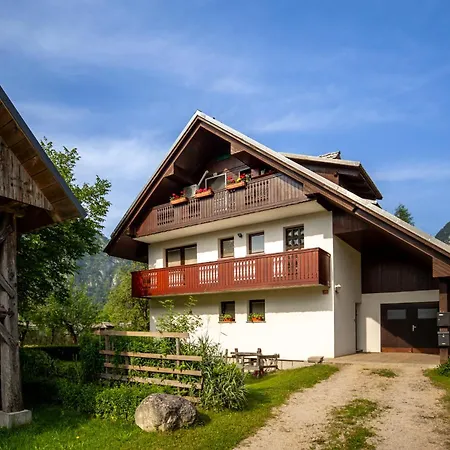 Apartma Ivano Apartment *
